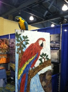 Grant Manier's Caribbean Parrot with the parrot from Pirates of the Caribbean