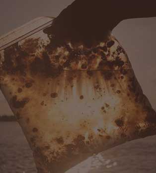 BP Oil Spill